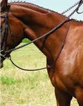 nglish bridles, tuscany equestrian, hunter, dressage, halters, martingales, vespucci