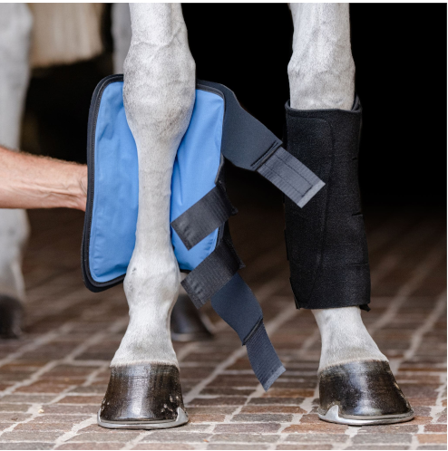 Cold packs for horse injuries. Advanced cold therapy for horses, hot/cold packs.Ice horse by Horseware. Canadian pricing