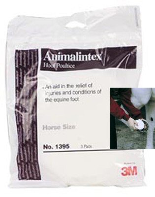 Animalintex Hoof Poultice