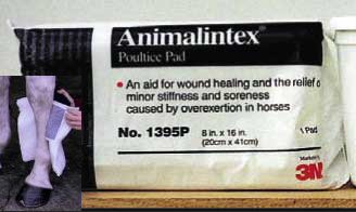Animalintex  Poultice