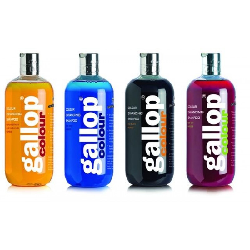 Carr & Day & Martin Gallop Color Enhancing Shampoo
