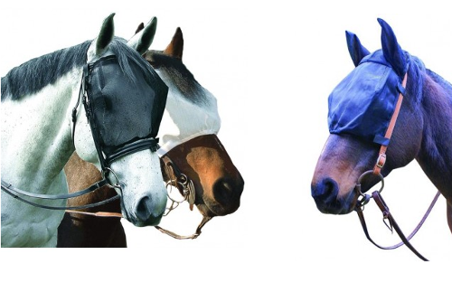 Cavallo Ride Fly-Free Mask