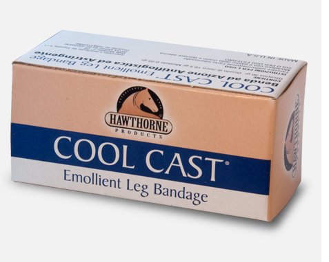 Cool Cast