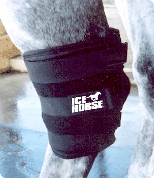 ice horse hock wrap