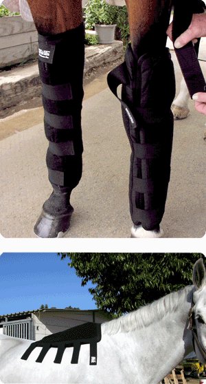 ice horse knee to ankle wrap