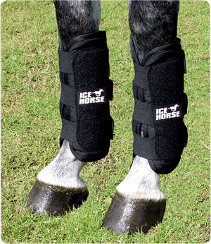 ice horse tendon wraps