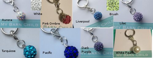 my barn child rhinestone charms