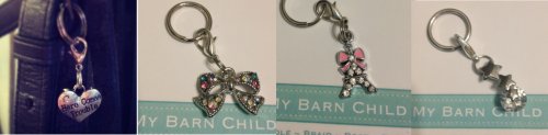 my barn child bridle charms; Here Comes Trouble, Aurora Bow, Paris Amour and Shooting Star