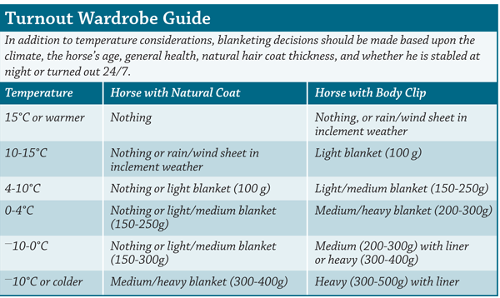 Horse turnout guide