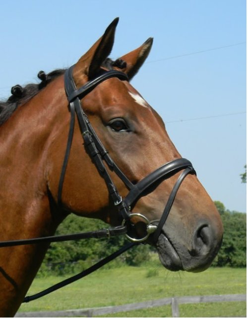 Heritage English Quality Leather Plain Hunter Snaffle Horse Bridle Flat Noseband 