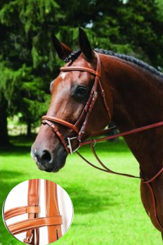 Vespucci Fancy Raised Jump Bridle with Flash