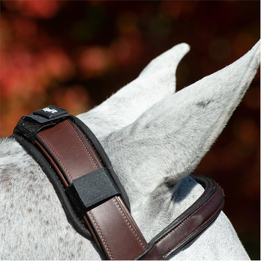 equifit crown pad