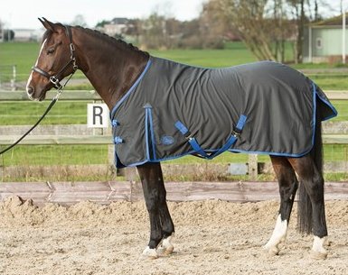 Harry's Horse Honeycomb Cotton Summer Sheet