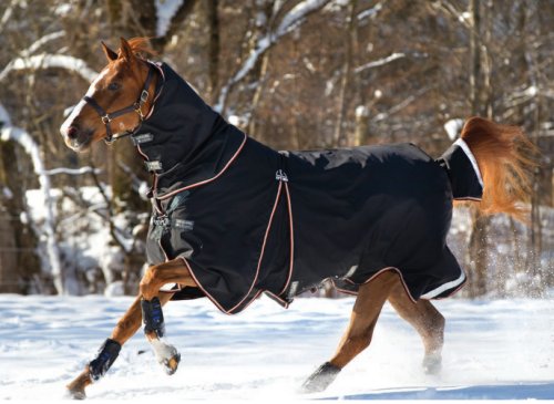 rain sheets , waterproof summer turnouts  to protect your equine companion. Waterproof horse blankets. Mini and Pony sizes too!Canadian online tack shop 