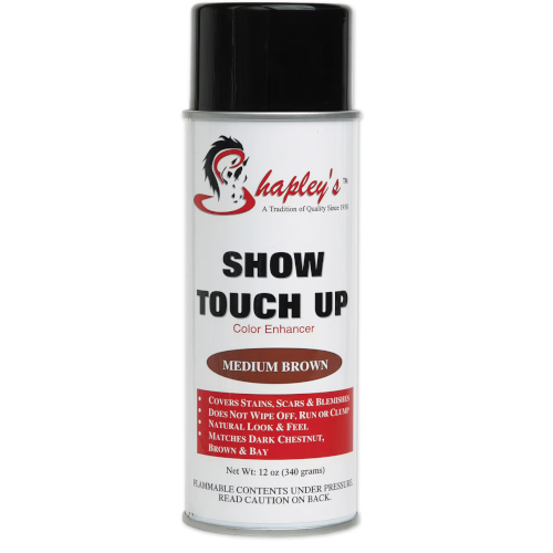 shapleys show touch upmedium brown horse grooming canada