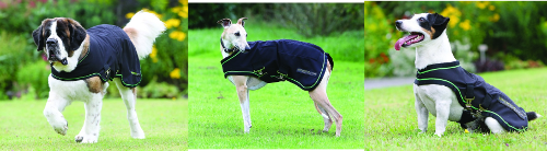 Sportz Vibe Dog Blanket