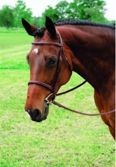 vespucci Fancy Raised Hunter Bridle