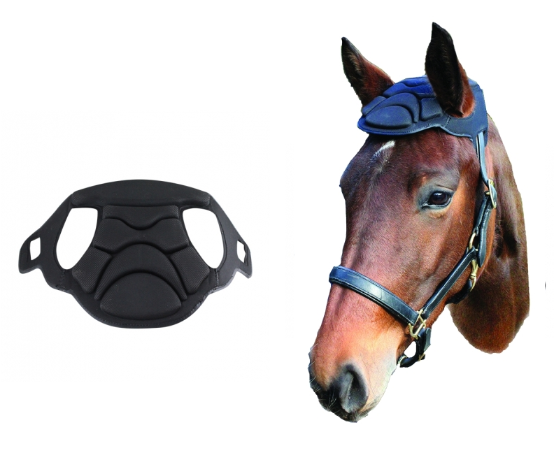 Horse Shipping Boots, head bumper. Protect your horse during travel.